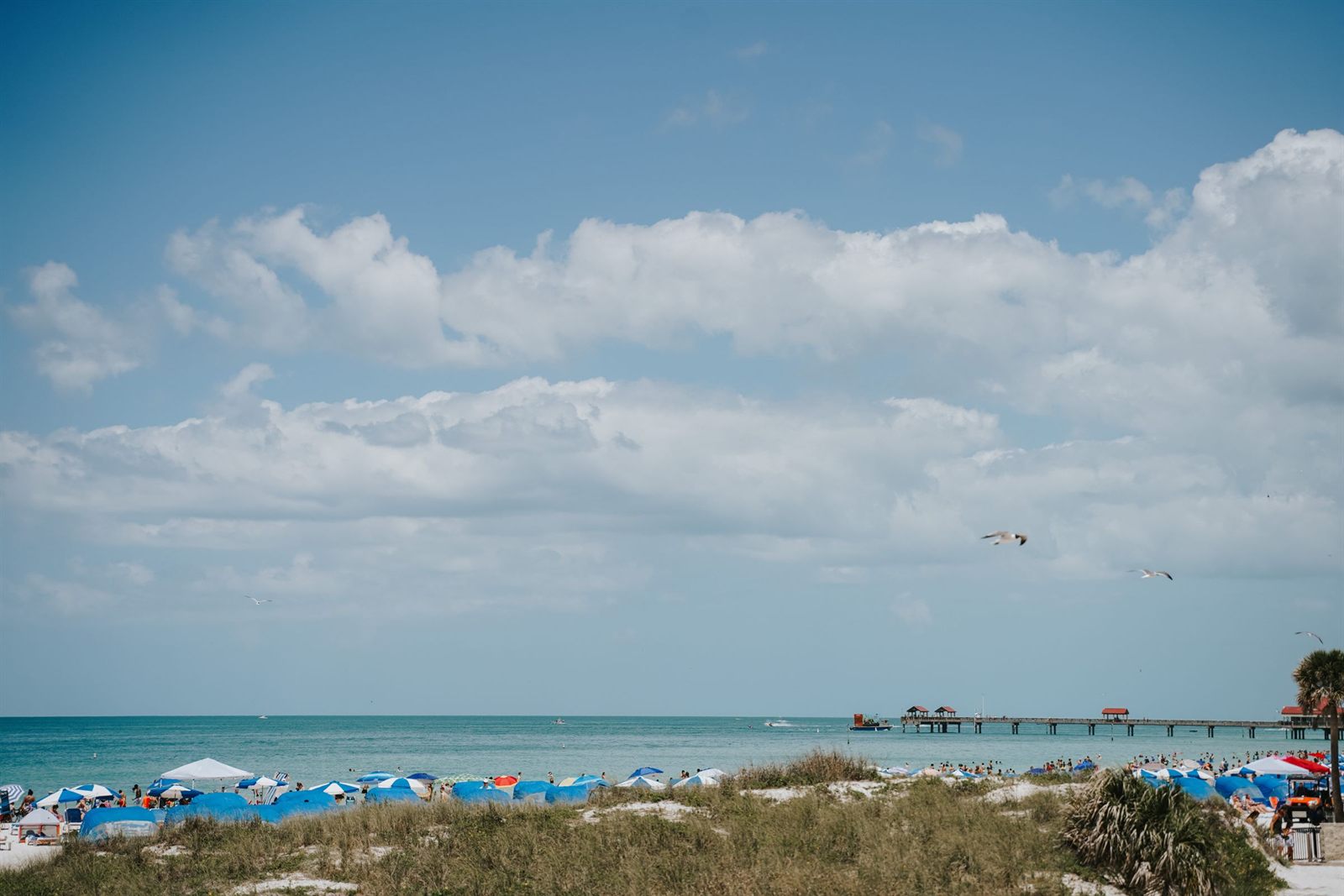 Gulf beach near Tampa Bay